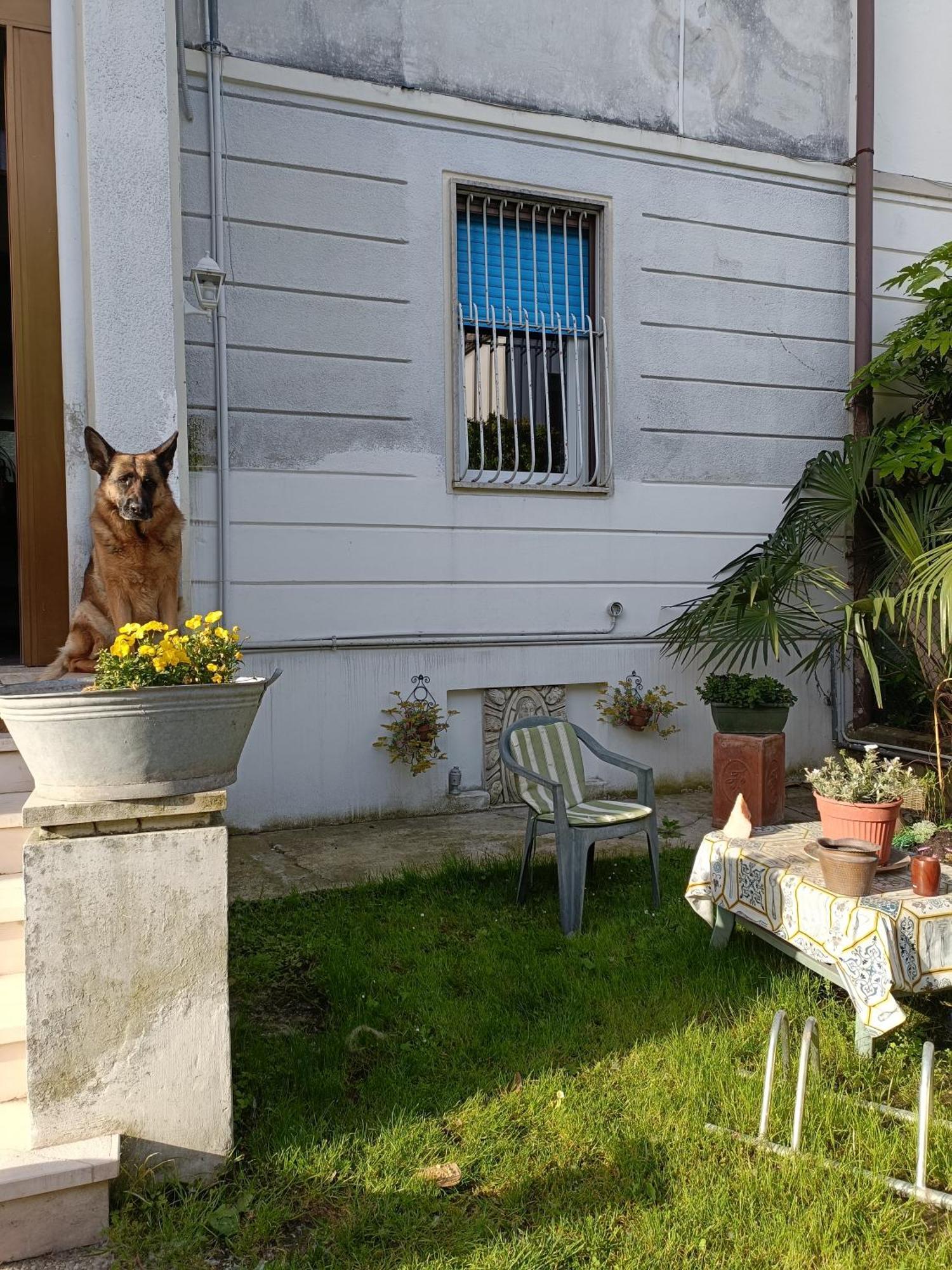 Chez Mavipagi B&B Verona Luaran gambar
